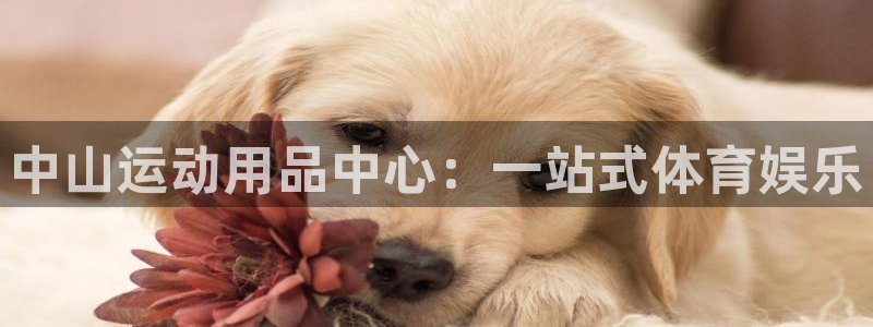 k1体育官方正版app集团:中山运动用品中心:一站式体育娱乐