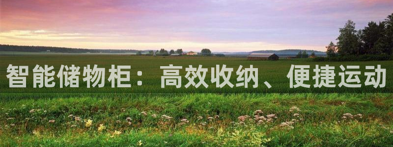 k1官方集团官网:智能储物柜:高效收纳、便捷运动